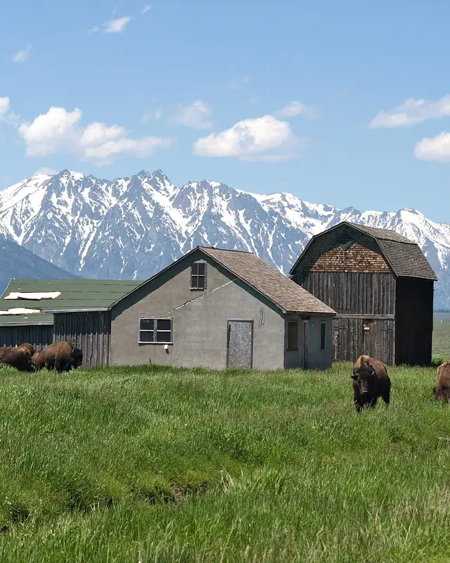 We Buy Houses Wyoming | Sell My House Fast Wyoming | Prominent Cash Offer